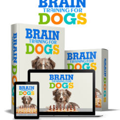 Brain Training for dogs