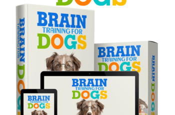 Brain Training for dogs