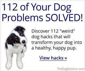 12 Dog Hacks