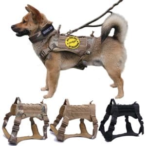 dog-harness
